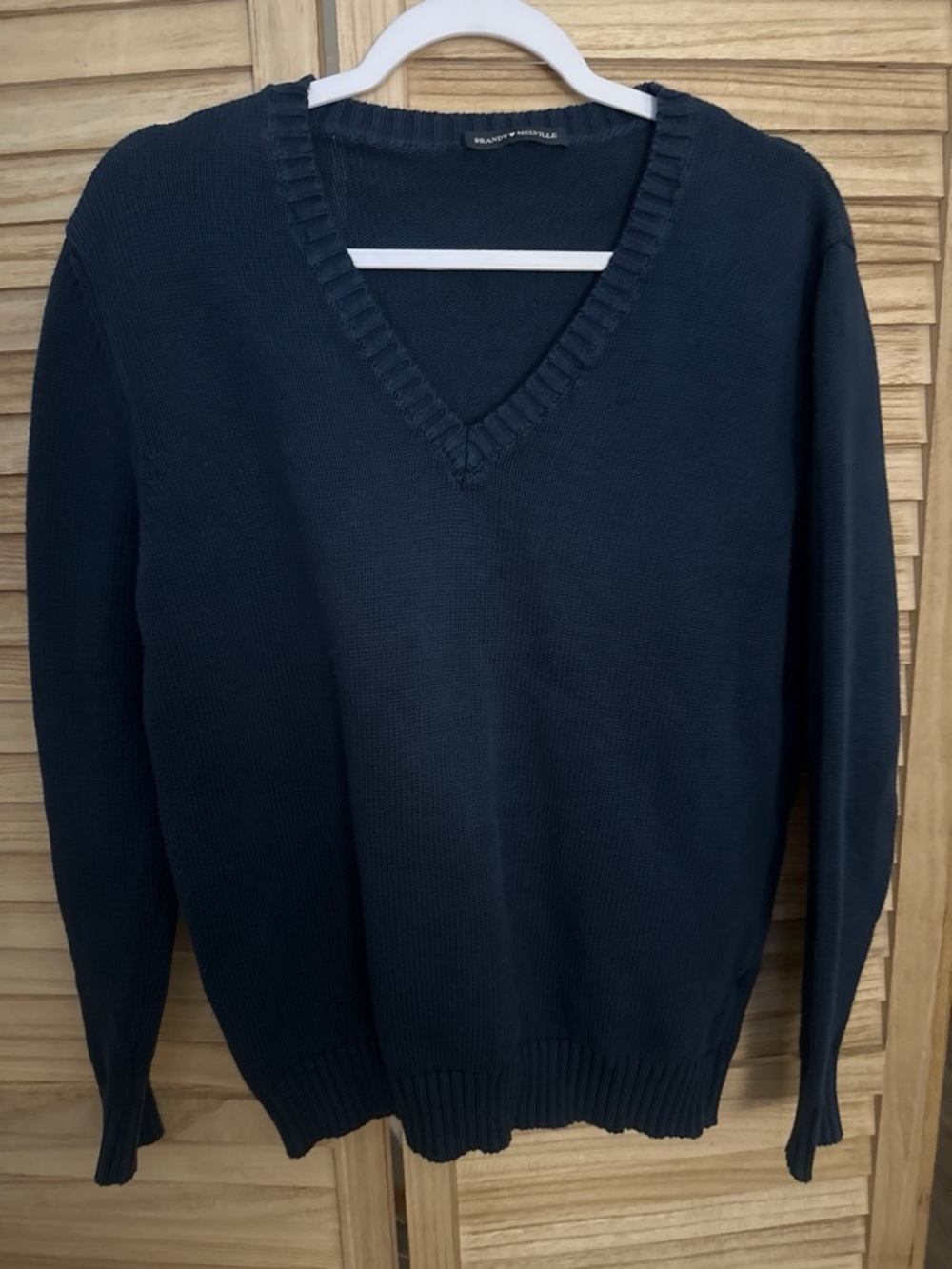 Brandy Melville Navy V-Neck Sweater
